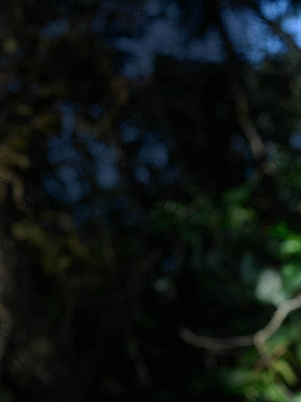 Marica (RJ) - Na Aldeia Mata Verde Bonita, 20 familias Guarani Mbya se comunicam na lingua materna, um idioma indigena do tronco tupi-guarani (Marica (RJ) - Na Aldeia Mata Verde Bonita, 20 familias Guarani Mbya se comunicam na lingua materna,