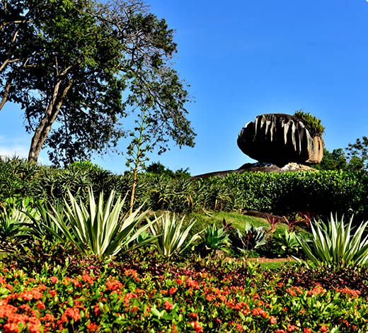 Data: 04 09 2019 - ES - Vitória - Pedra da Cebola - Fotografias para o aniversário de Vitória - Editoria: Cidades - Foto: Fernando Madeira - GZ