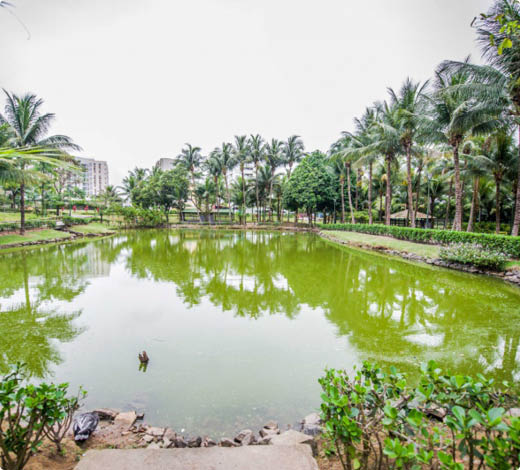 Parque Municipal da Fazendinha