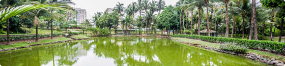 Parque Municipal da Fazendinha